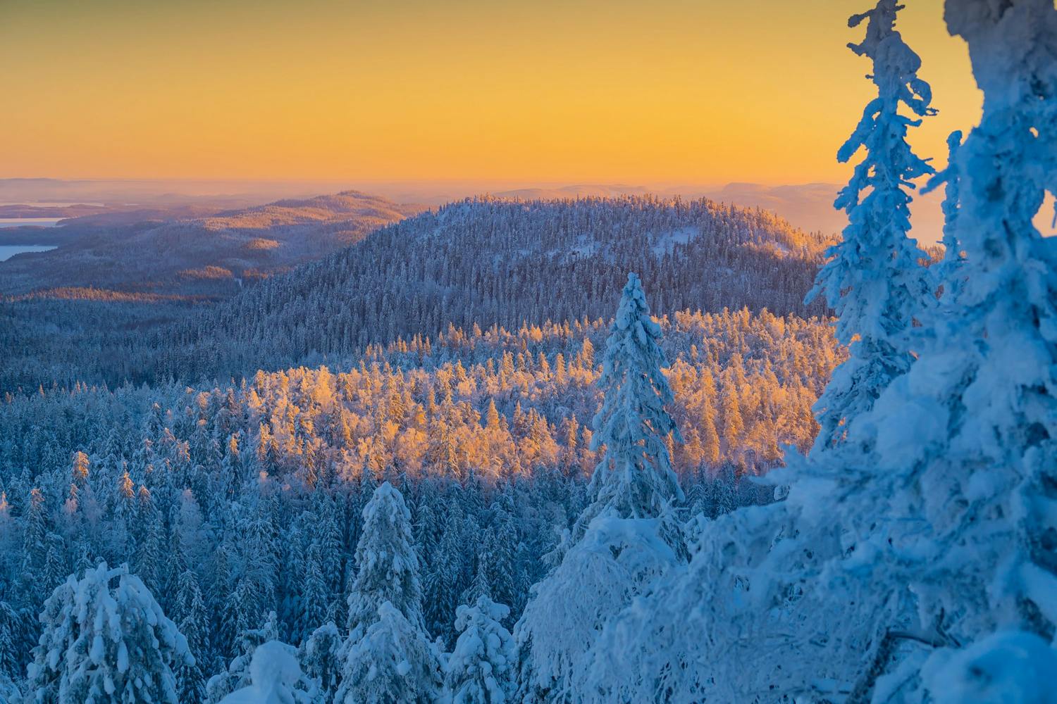 Koli,National,Park